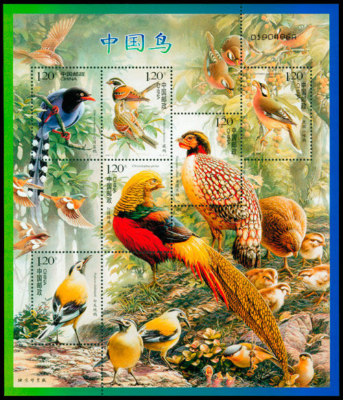 2008-4：中国鸟(T)
