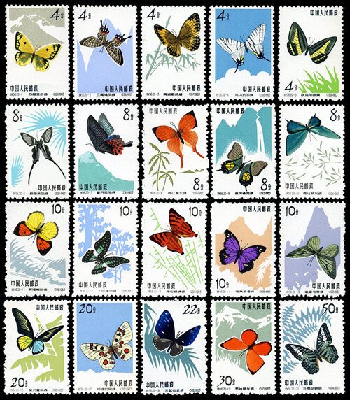 特56：蝴蝶