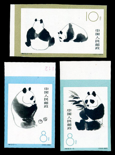 特59：熊猫(无齿)