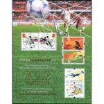 2002-11M 2002年世界杯足球赛邮票（小全张）