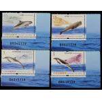 2006年 特494 鲸豚邮票 （第二组）