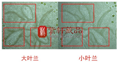 第五套人民币99版1元大叶兰冠号!