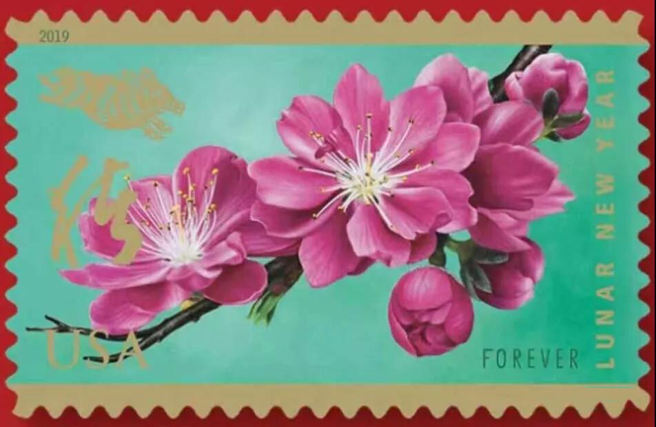 美国邮政将于2019年1月17日发行生肖猪年邮票一套一枚