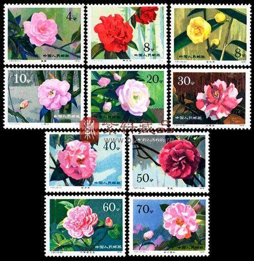 网友晒出“十大名花”邮票，最值钱的是……
