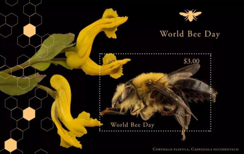 联合国邮政将于5月20日发行《世界蜜蜂日》邮票