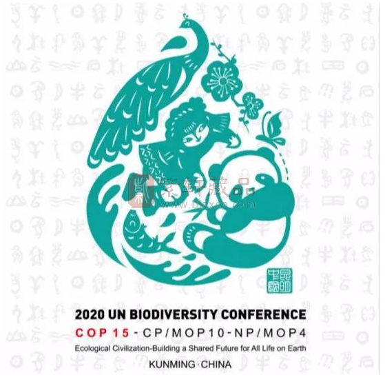 2020年联合国生物多样性大会（COP15）会标公布，将发行邮票