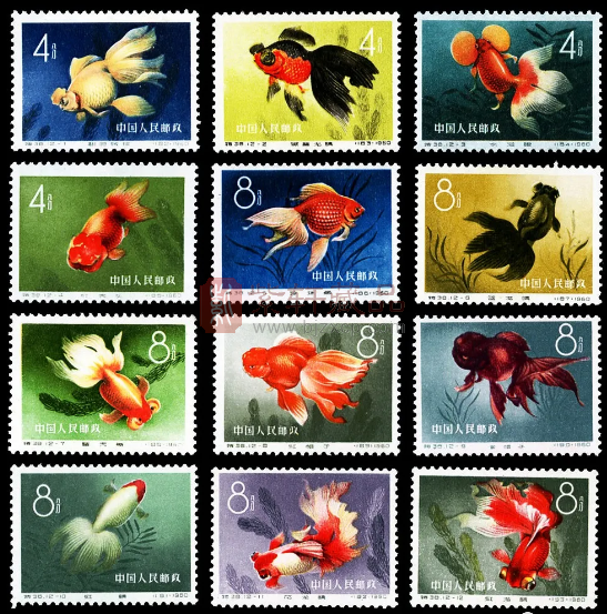 收集新中国邮票，你不可以不知道的《金鱼》