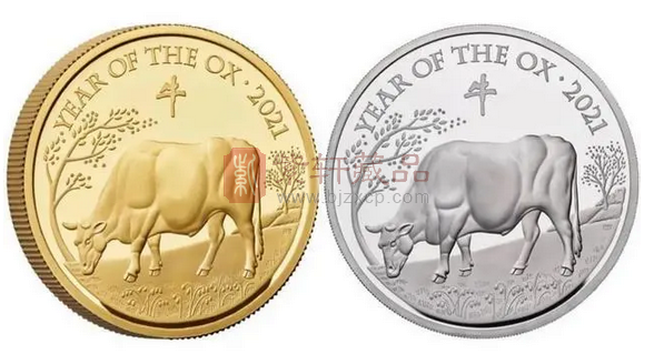 新一轮生肖纪念币即将发行，发行量减半，变化有点大