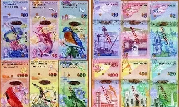 百慕大鸟钞——世界最美纸钞！