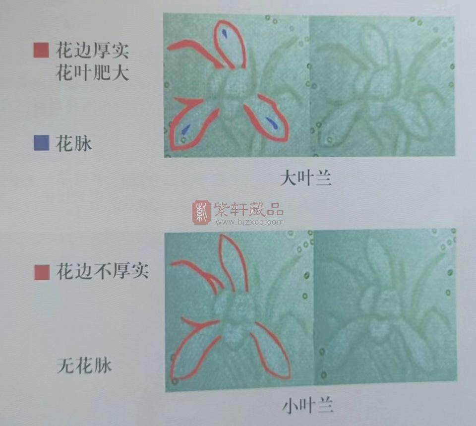 第五套人民币1元券99版 “大叶兰” 与 “小叶兰” 识别方法（图）