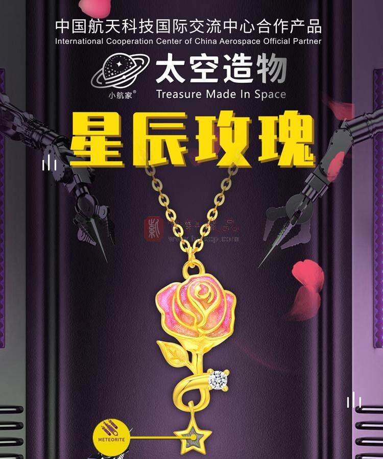 太空星辰玫瑰陨石项链（图）