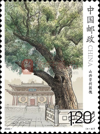 《古树名木》特种邮票介绍!（图）