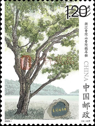 《古树名木》特种邮票介绍!（图）