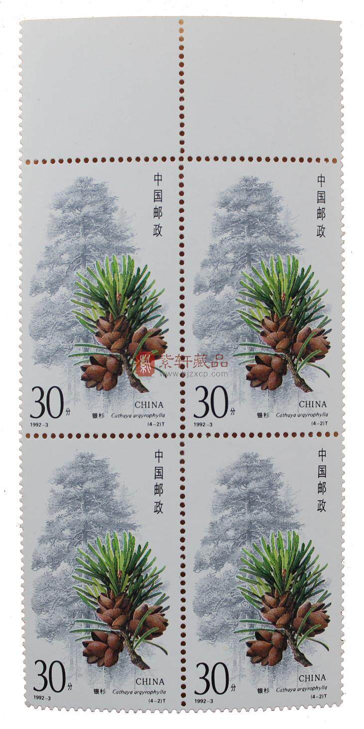 1992-3 杉树（T）四方联
